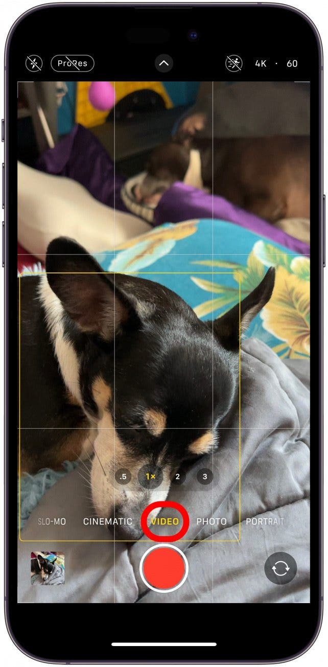 You will also need to manually pick a different mode or switch to the front camera.