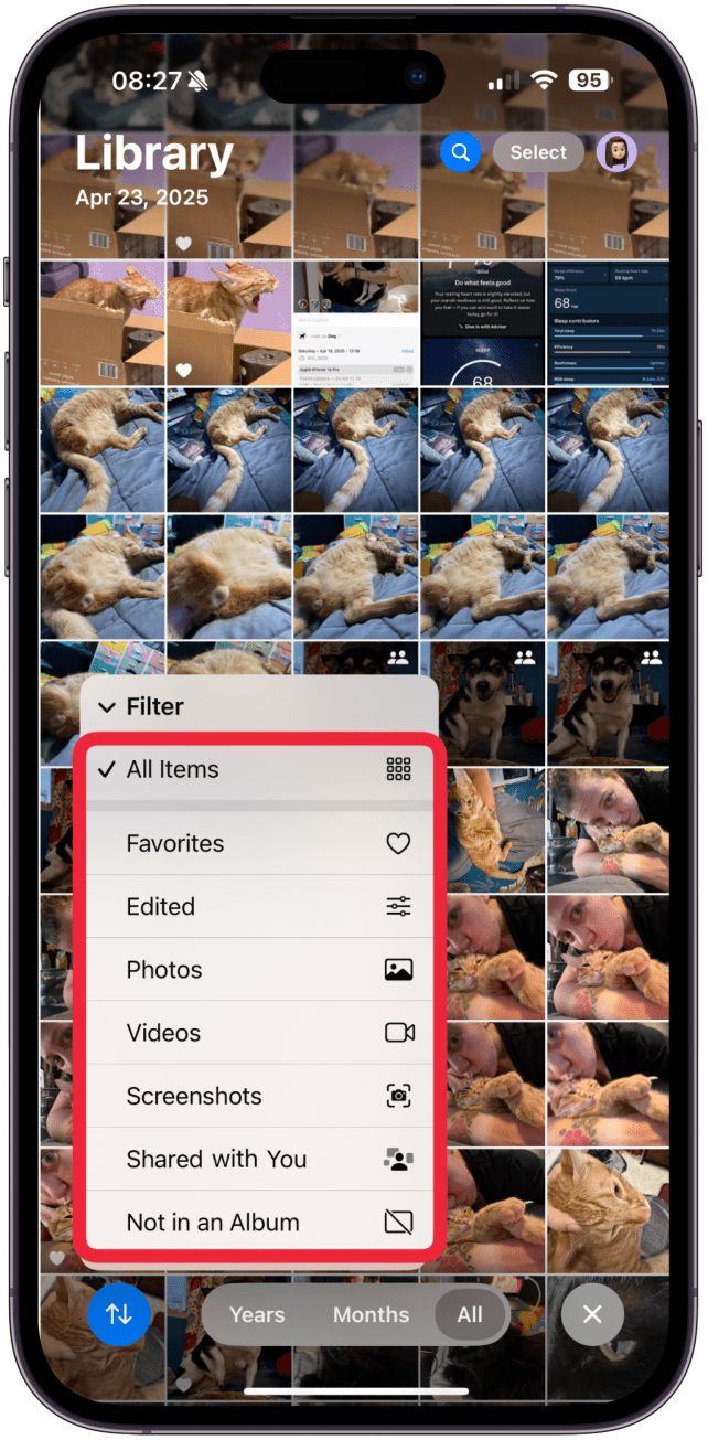 By default, you'll see all items. You can filter to only see items that are marked as Favorites, have been Edited, Photos, Videos, Screenshots, Shared with You, and everything that's Not in an Album - which is a great option if you are trying to organize your photos.