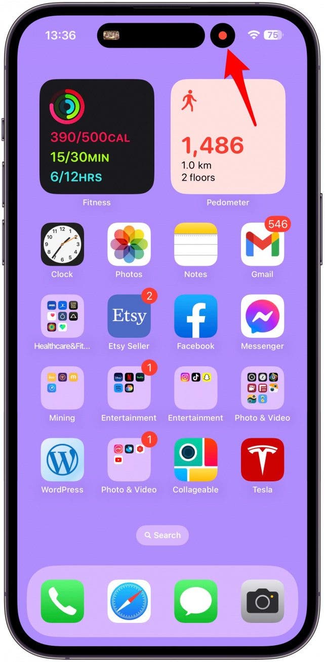 Dynamic Island Screen Recording