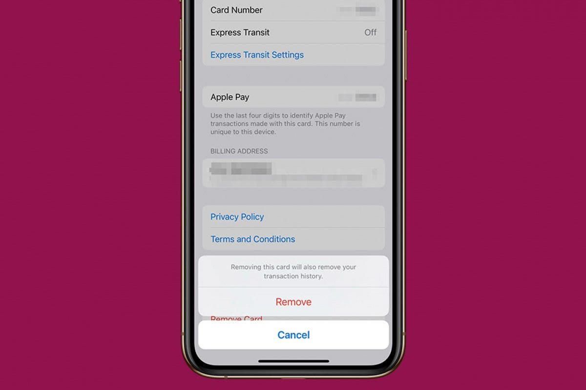 Can You Delete Apple Pay Transactions? Here's What You Can Do