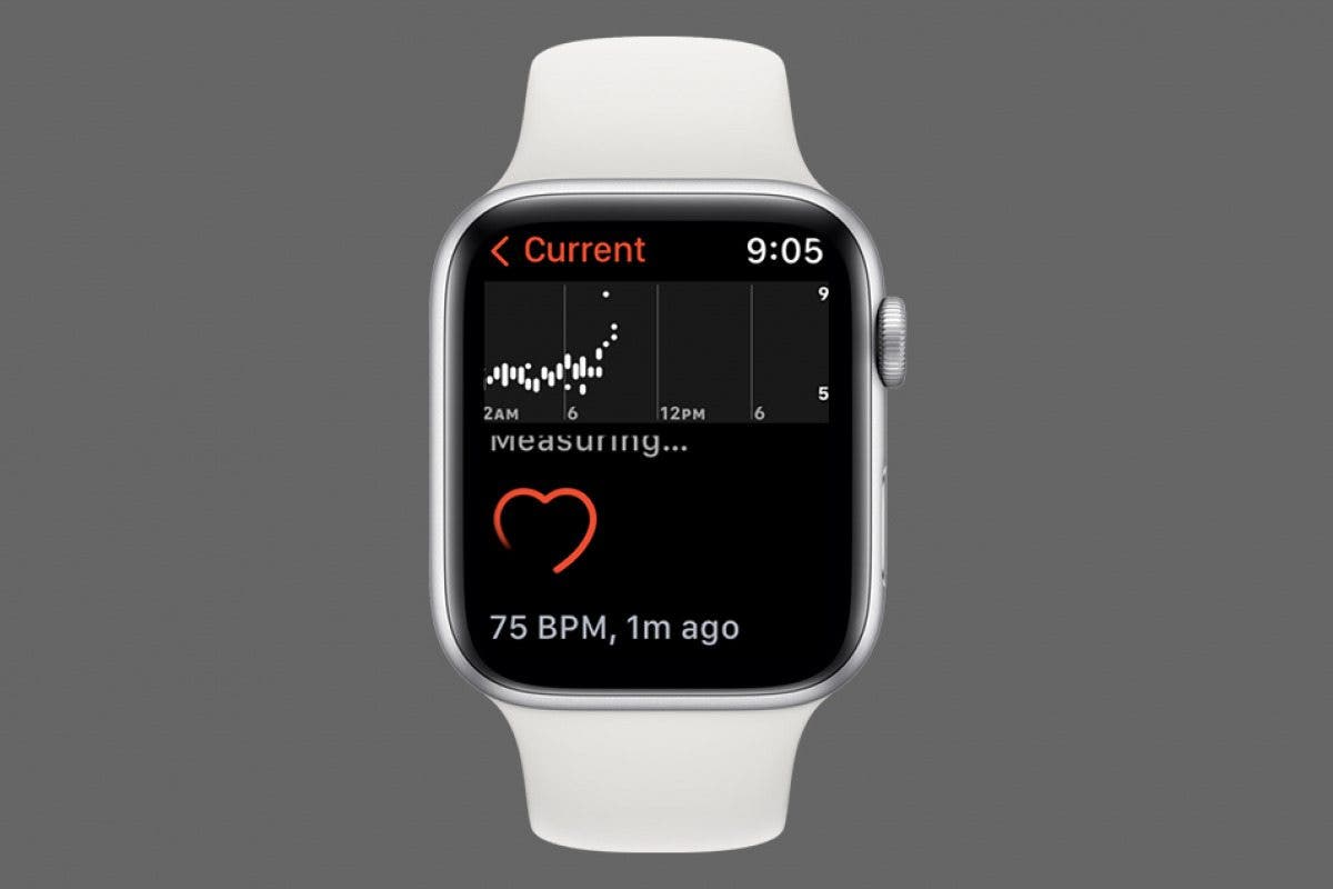 How to See Heart Rate on Apple Watch Using Siri