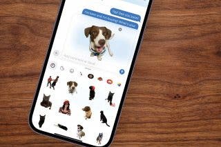 Image for article: How to Make a Sticker on iPhone & Where You Can Use Them