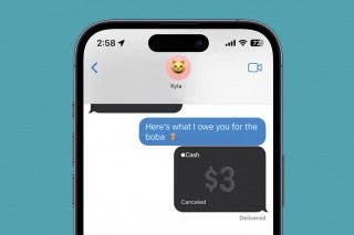 Image for article: How to Cancel Apple Pay Payment on iPhone or iPad