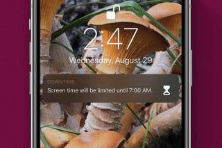 Image for article: How to Set Downtime in Screen Time Settings on Your iPhone & iPad