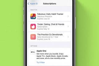 Image for article: How to Delete Inactive Subscriptions from iPhone