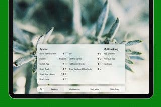 Image for article: How to Use iPad Keyboard Shortcuts