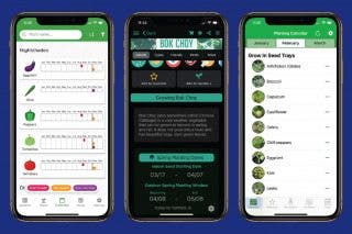 Image for article: 3 Best Garden Planner Apps