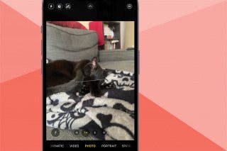 Image for How to Use the Camera Level on iPhone