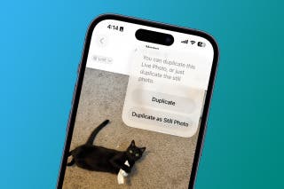 Image for article: How to Turn Off Live Photos on iPhone via Photos App