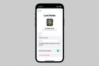 Image for article: What to Do If Your Apple Watch Is Lost or Stolen