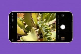 Image for article: iPhone 13 Macro Photography Guide & Macro Settings