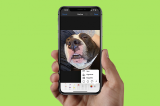 Image for article: Coolest Ways to Use Markup on iPhone to Edit Photos and PDFs