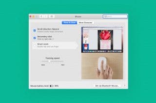Image for article: What to Do When Mac Mouse Disappears: How to Find & Fix