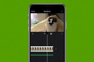 Image for article: How to Add Music to a Video on iPhone (2 Free Ways)