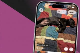 Image for Fixed: People Album Won’t Recognize Pictures of Pets