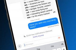 Image for article: How to Share Focus Status with Contacts on iPhone