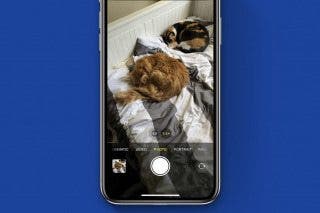 Image for article: How to Switch iPhone Camera Modes