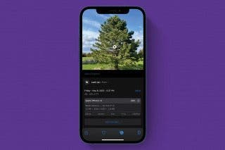 Image for article: How to Identify Plants with the iPhone Photos App
