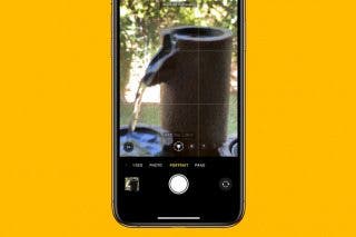 Image for article: Why is Portrait Mode Zoomed In On iPhone 13 Pro & Pro Max?
