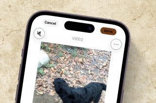 Image for article: Easiest Way to Remove Audio from Video on iPhone