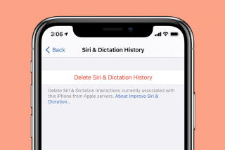 Image for article: How to Find & Delete Your Siri Search History