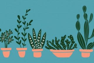 Image for article: Smart Plants: The Best Gardening Tools for the Techie Horticulturist