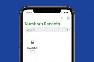 Image for article: How to Password Protect a Spreadsheet in the iPhone Numbers App