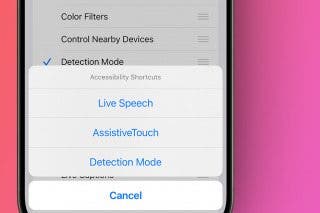 Image for article: Quickly Activate Accessibility Features with a Triple-Click