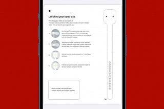 Image for article: Apple Watch Band Sizes Explained: 5 Steps to a Perfect Fit