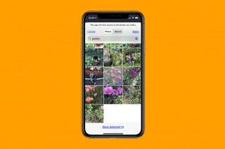 Image for article: How to Add & Change Zoom Backgrounds (Photo & Video)