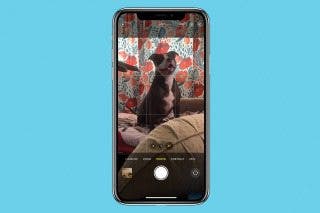 Image for article: Optical Zoom vs. Digital Zoom: iPhone Explained