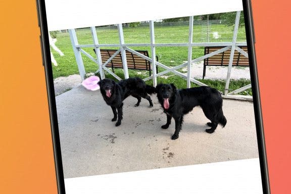Image for article: How to Remove People from Photos on iPhone Using AI Clean Up
