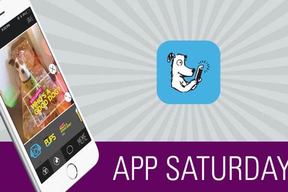 Image for article: The Ultimate App for Dog Photos: BarkCam