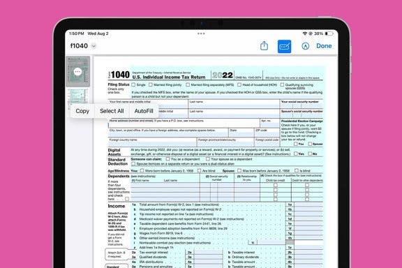 Image for article: Use Your Contact Information to Autofill Forms on iPad