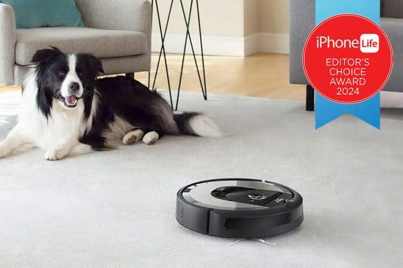 Image for article: Buyer's Guide 2024: Best Pet Gear