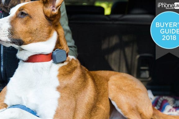 Image for article: Smart Pet Tech: Take Care of Your Furry Friends with These Great Finds