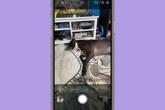 Image for article: Why Is My iPhone Camera Blinking & How to Fix It