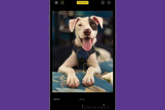 Image for article: How to Blur Something in a Picture on iPhone