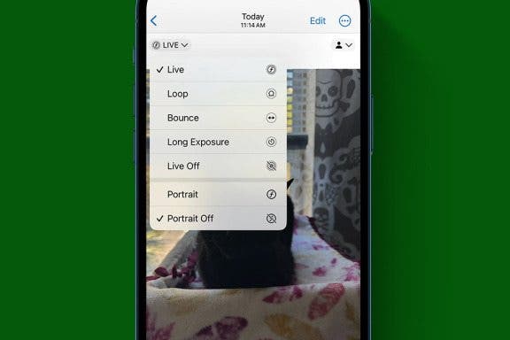 Image for article: Easily Blur the Background of Photos on iPhone 15