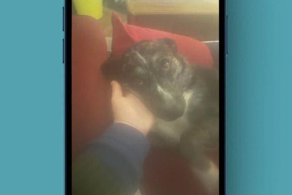Image for article: How to Unblur an Image on iPhone—Fix Blurry Photos Fast!