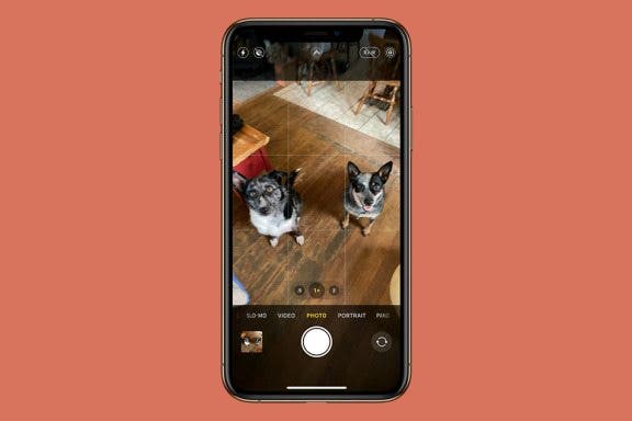 Image for article: How to Take Action Shots on iPhone with Burst & Live Photos