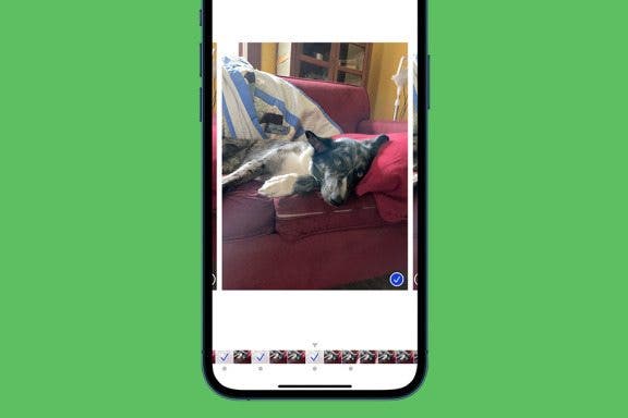 Image for article: How to Take, View, & Save Burst Photos on iPhone