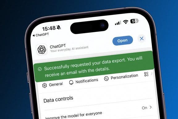 Image for How to Do a Full Data Extraction from ChatGPT