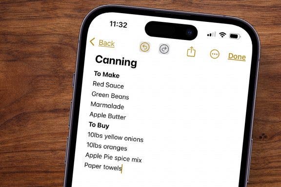 Image for article: How to Use Collapsible Sections in the Notes App