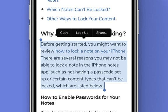Image for article: How to Copy & Paste on an iPhone or iPad