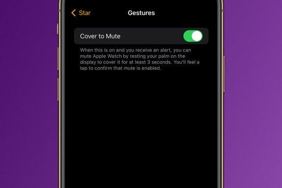 Image for article: How to Enable Cover to Mute on the Apple Watch