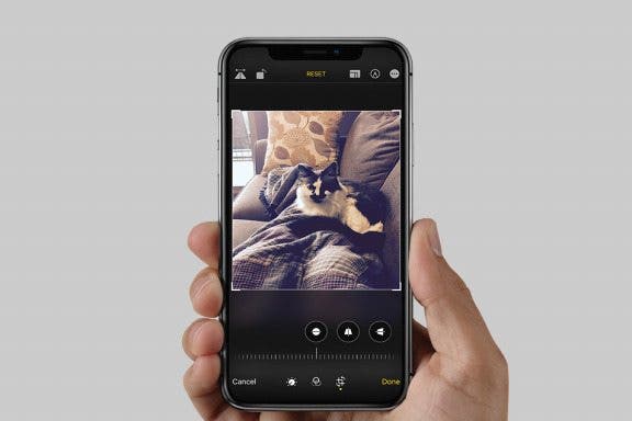 Image for article: How to Crop a Picture on iPhone & iPad