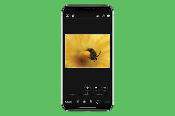 Image for article: How to Crop a Live Photo on iPhone