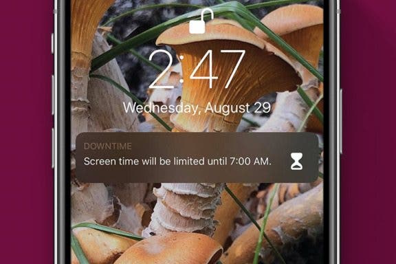 Image for article: How to Set Downtime in Screen Time Settings on Your iPhone & iPad