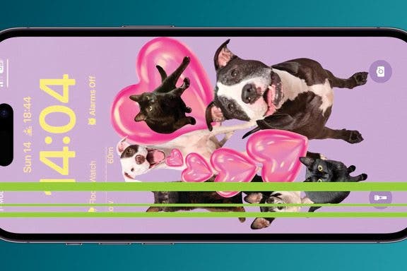 Image for article: Lines on iPhone Screen after Dropping Phone? Try This First
